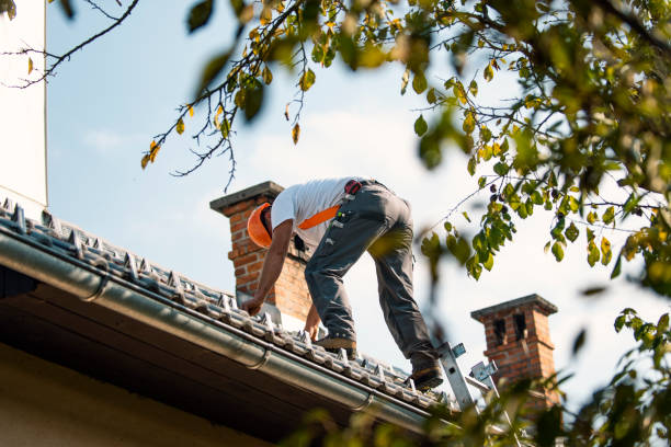 Best Affordable Roof Replacement  in Martinsville, VA