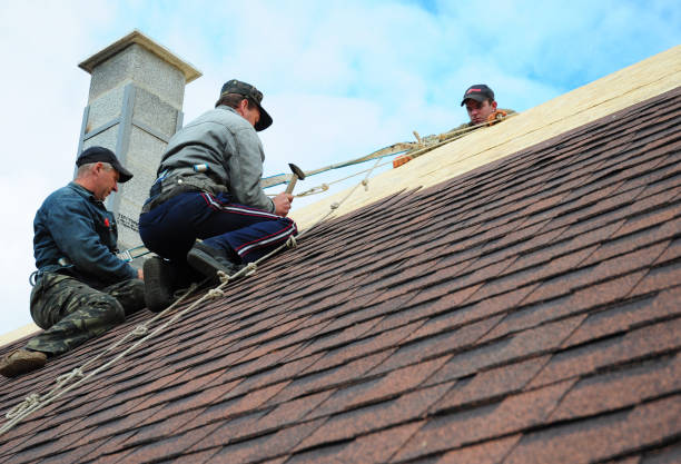 Best Metal Roofing Contractor  in Martinsville, VA