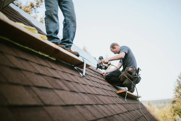 Best Roof Maintenance Services  in Martinsville, VA